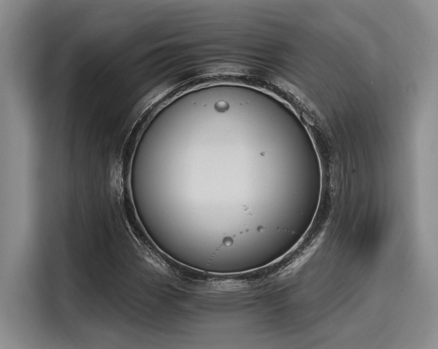 X0000116051113200911271212