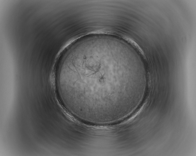 X0000116051114200911271212