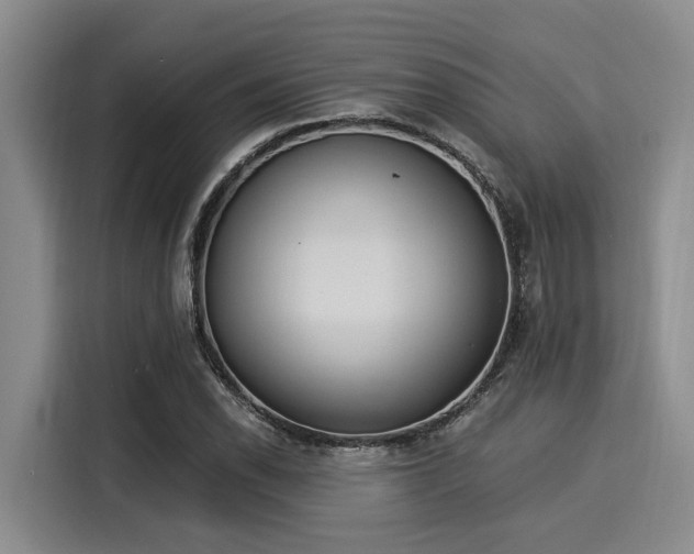 X0000116051118200911271212