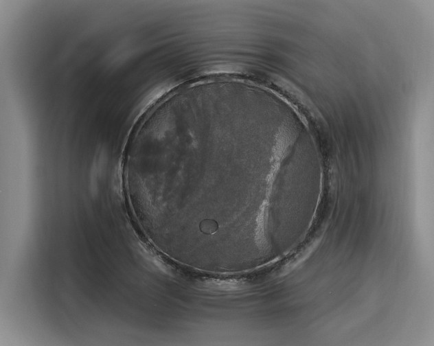 X0000116051121200911271212