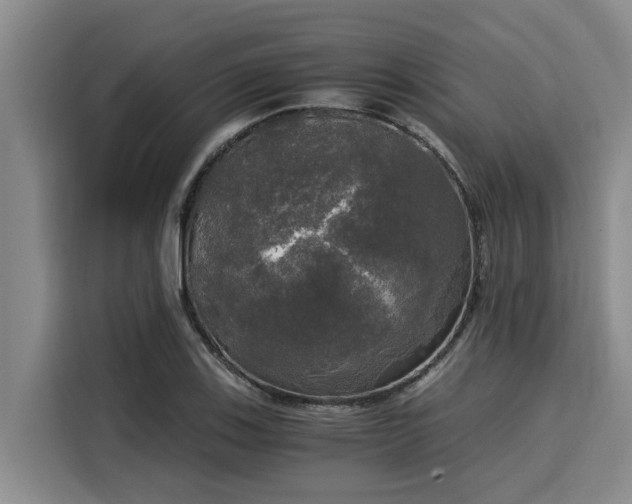 X0000116051123200911271212
