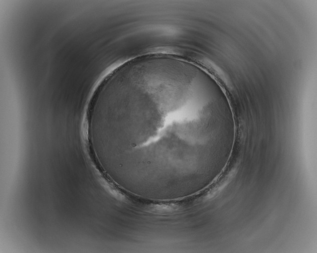 X0000116051125200911271213