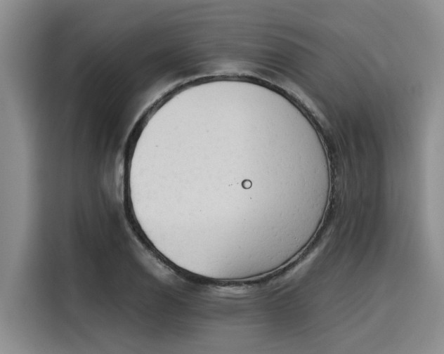 X0000116051126200911271213