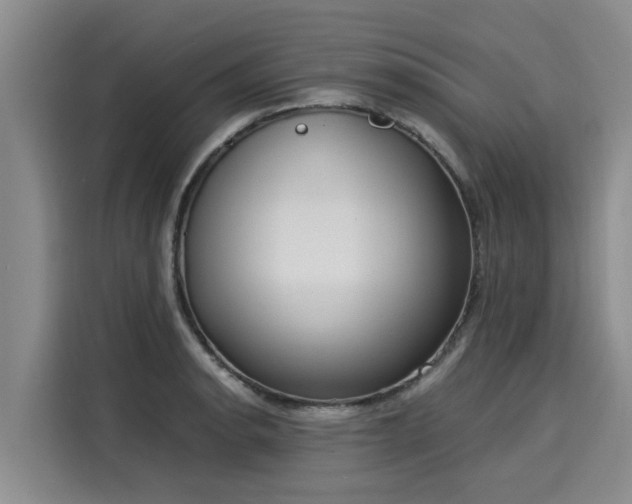 X0000116051134200911271213