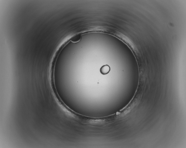 X0000116051135200911271213