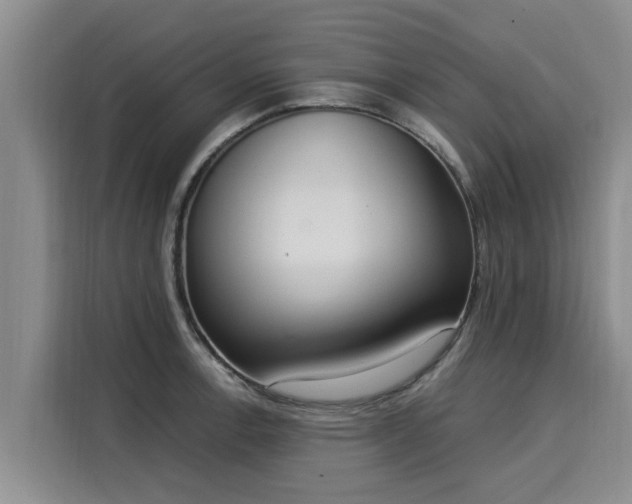 X0000116051138200911271213