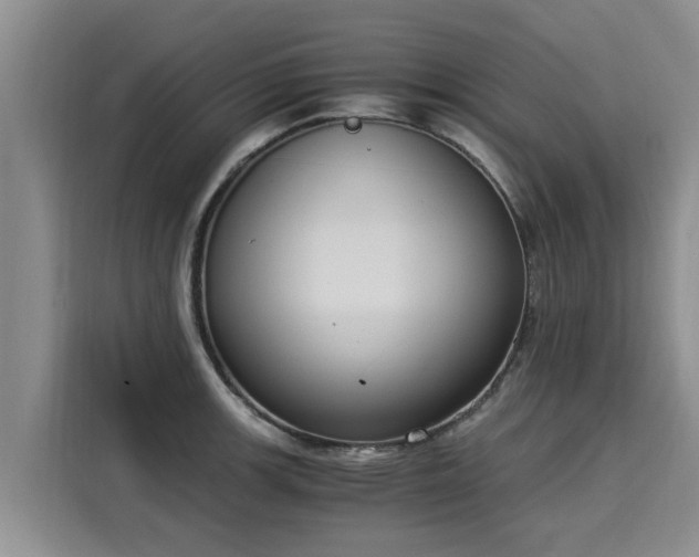 X0000116051139200911271213