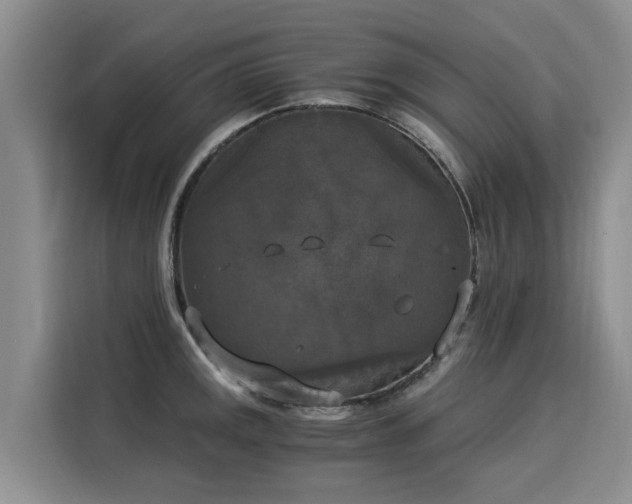 X0000116051141200911271213