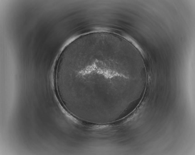 X0000116051143200911271213