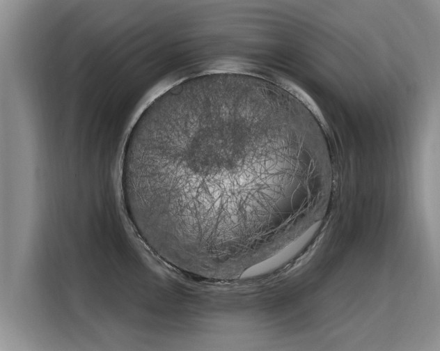 X0000116051146200911271213