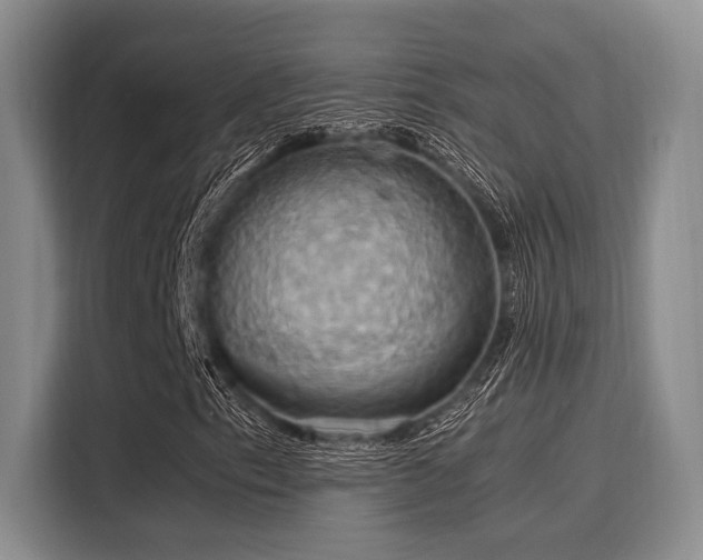X0000116051153200911271212