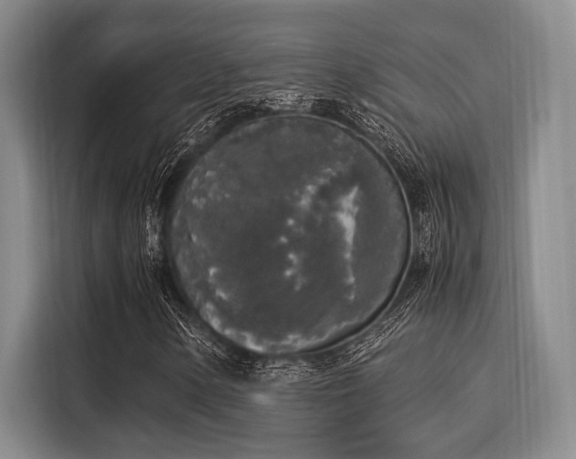 X0000116051154200911271212
