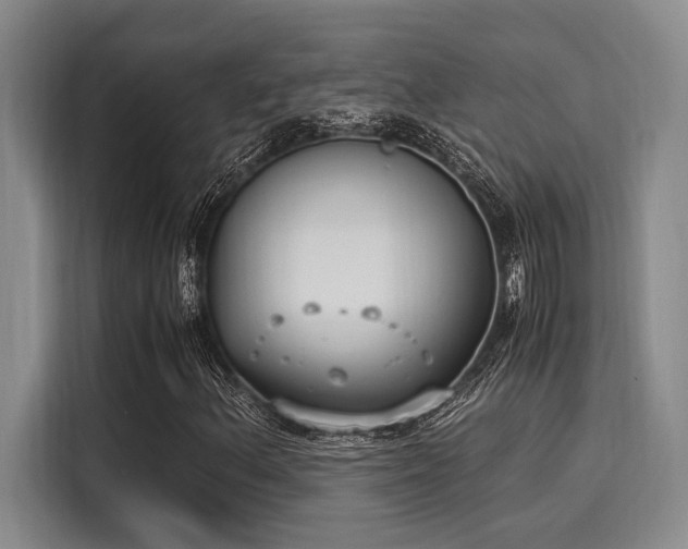 X0000116051156200911271212