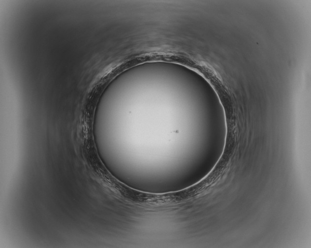 X0000116051159200911271212