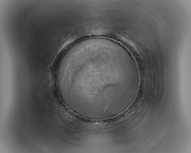 X0000116051160200911271212
