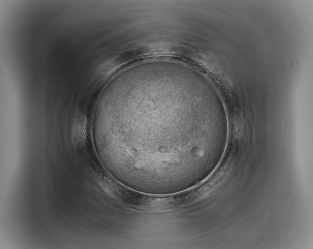 X0000116051161200911271212