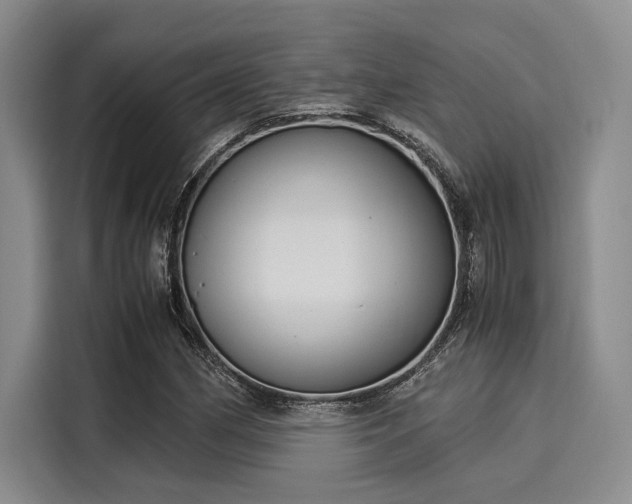 X0000116051162200911271212