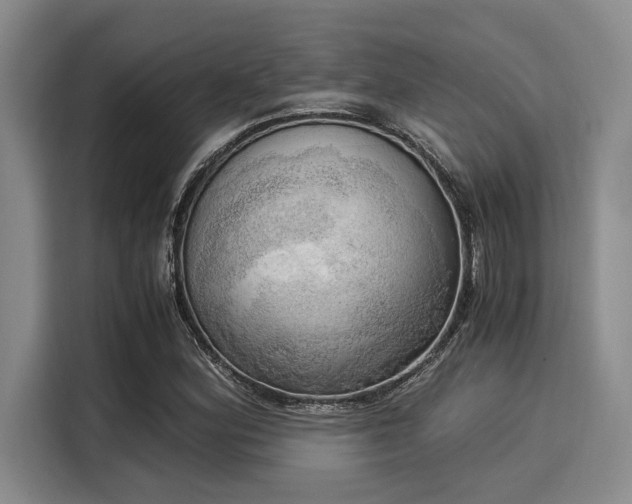 X0000116051164200911271212