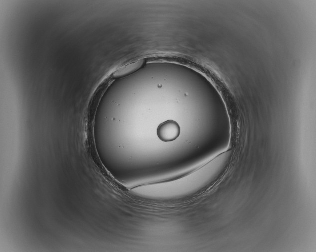 X0000116051165200911271212