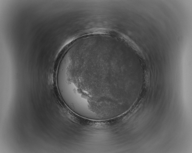 X0000116051166200911271212
