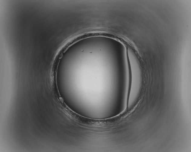 X0000116051167200911271212