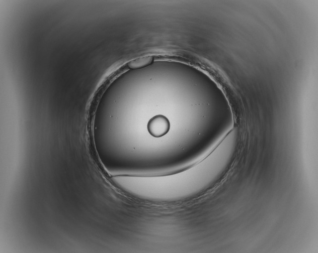 X0000116051168200911271212