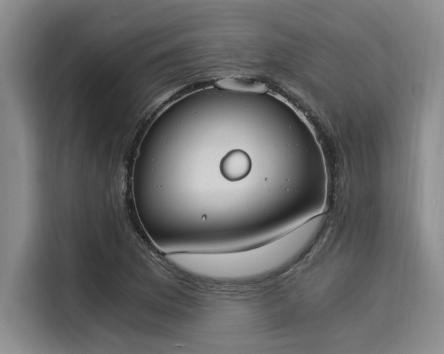X0000116051169200911271212