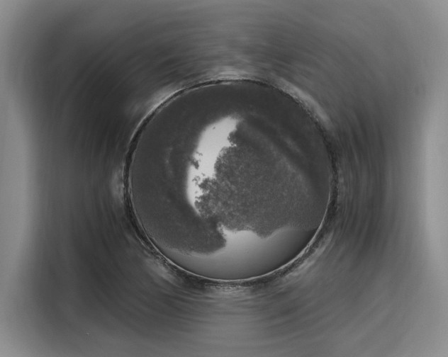 X0000116051170200911271212