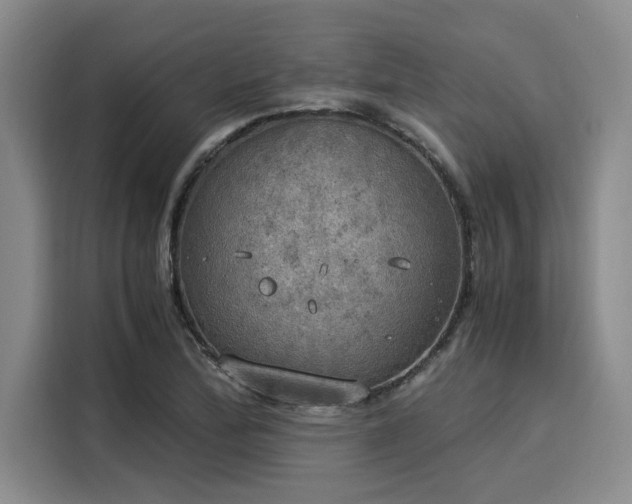 X0000116051172200911271212