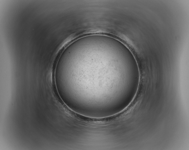 X0000116051173200911271212