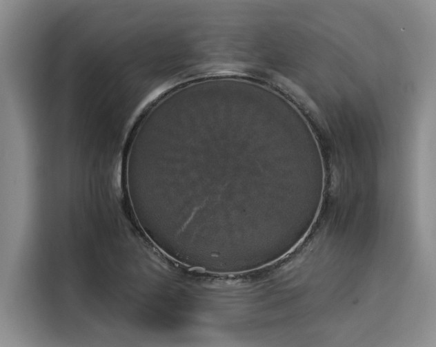 X0000116051174200911271212