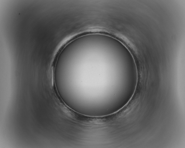 X0000116051175200911271212