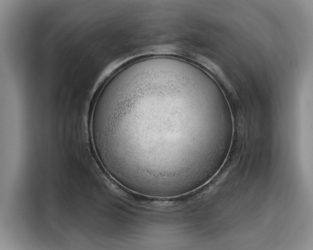 X0000116051176200911271212