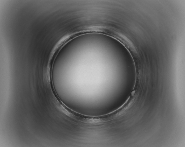 X0000116051180200911271212