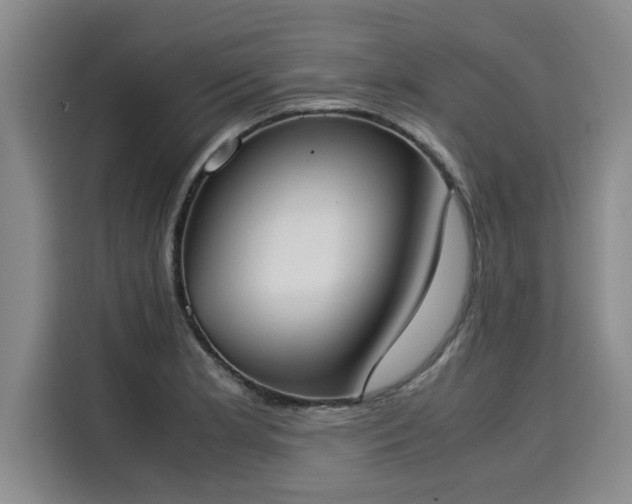 X0000116051181200911271212