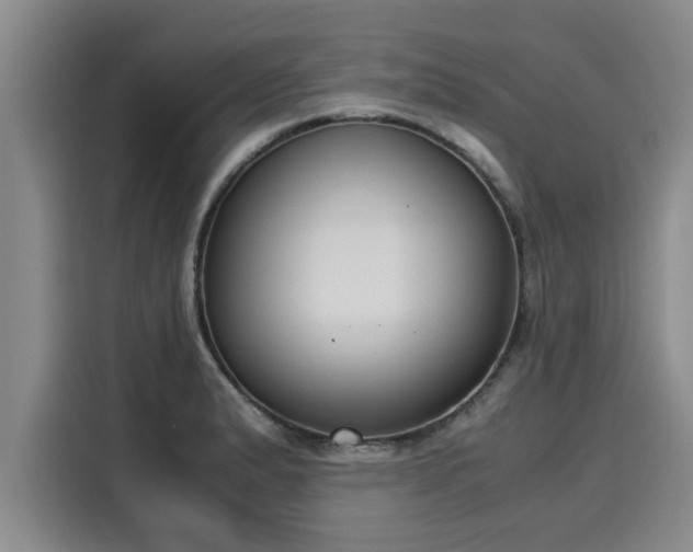X0000116051183200911271212