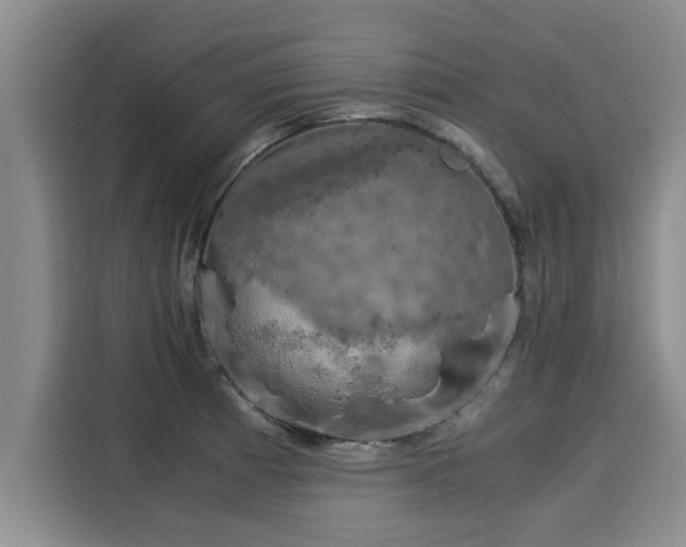 X0000116051185200911271212