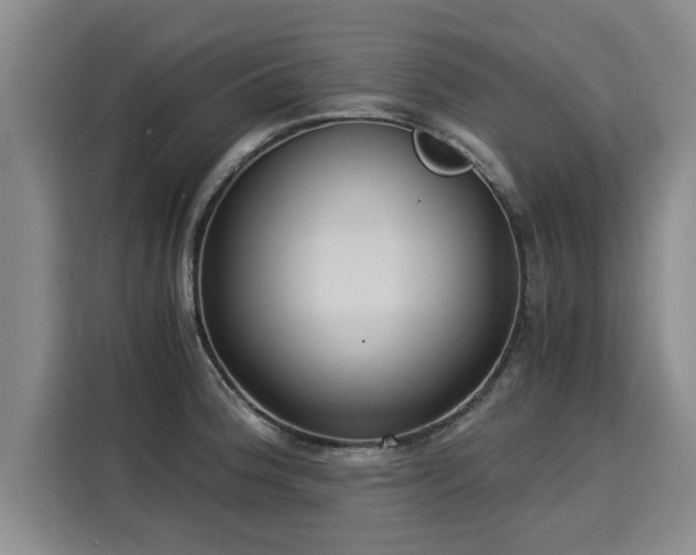 X0000116051188200911271212