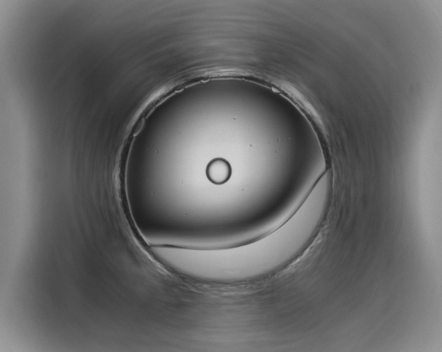 X0000116051189200911271212