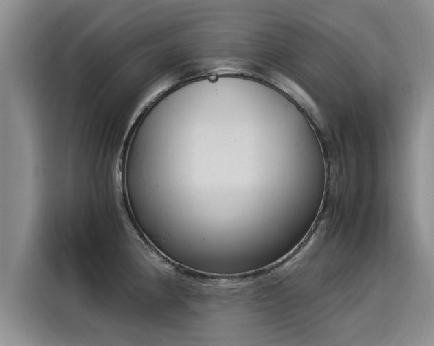X0000116051190200911271212