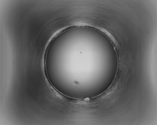 X0000116051191200911271212