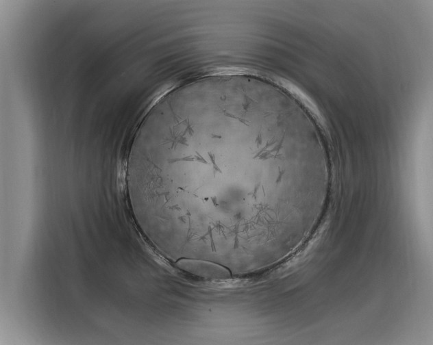 X0000116051193200911271212