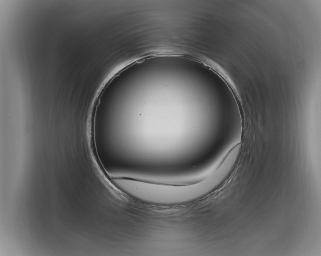 X0000116051195200911271212