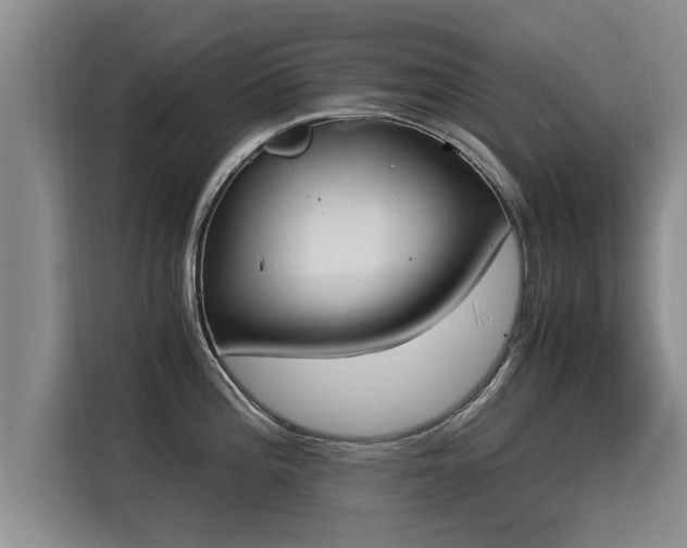 X0000116051196200911271212