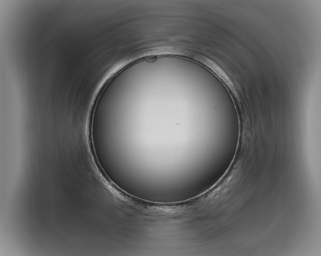 X0000116051197200911271212