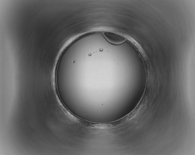 X0000116051199200911271212