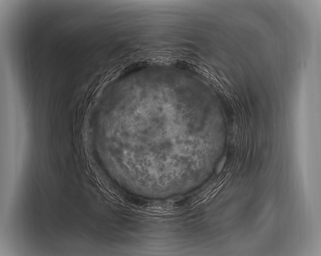X0000116051201200911271211