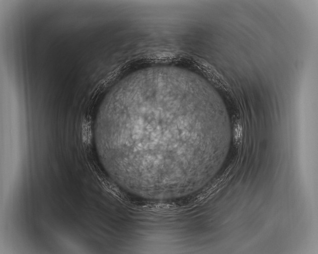 X0000116051204200911271211