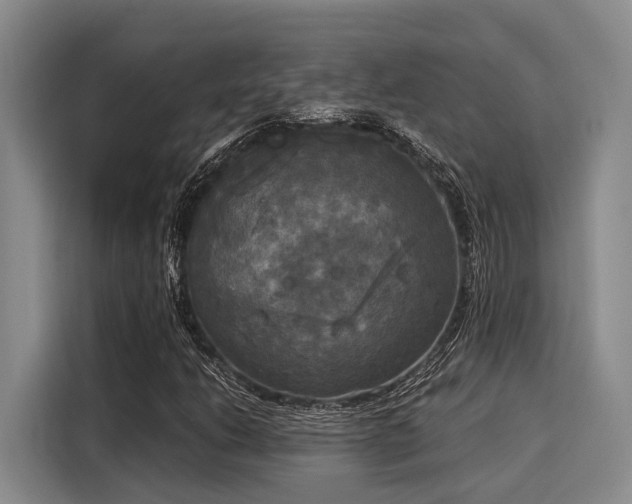 X0000116051206200911271211