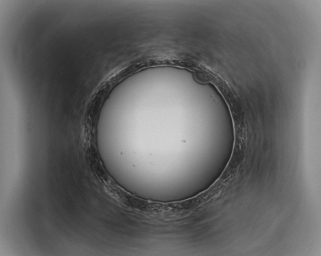 X0000116051207200911271211
